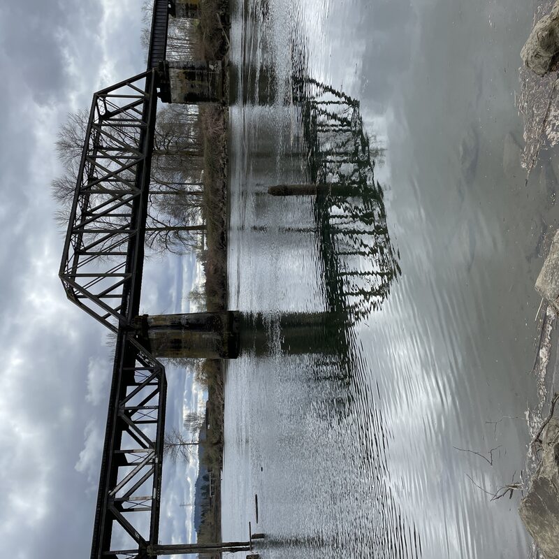 img_4687.jpeg