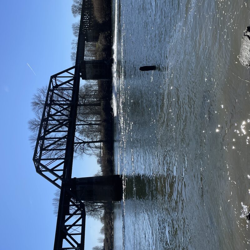 img_5686.jpeg