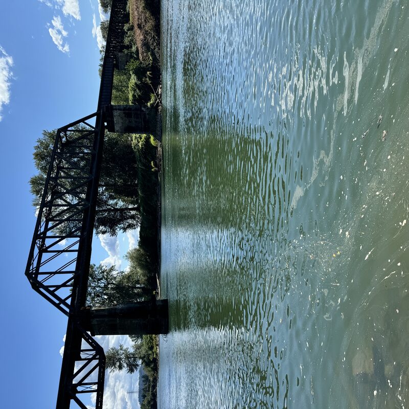 img_6490.jpeg