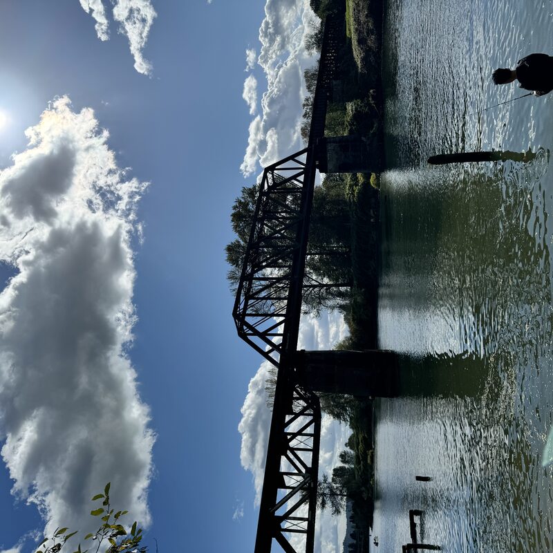 img_6562.jpeg
