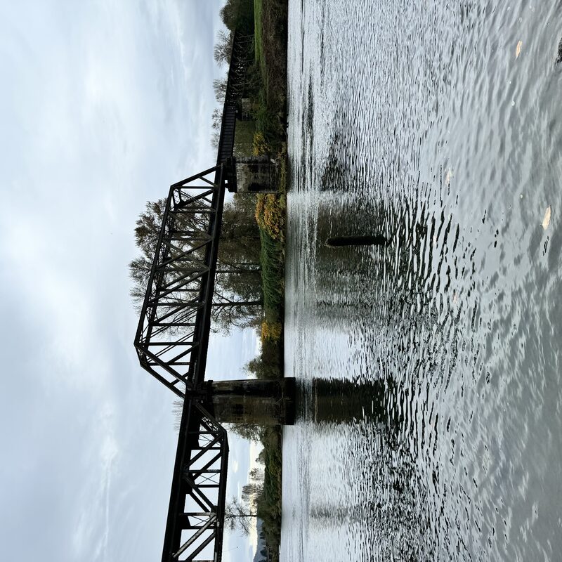 img_6596.jpeg