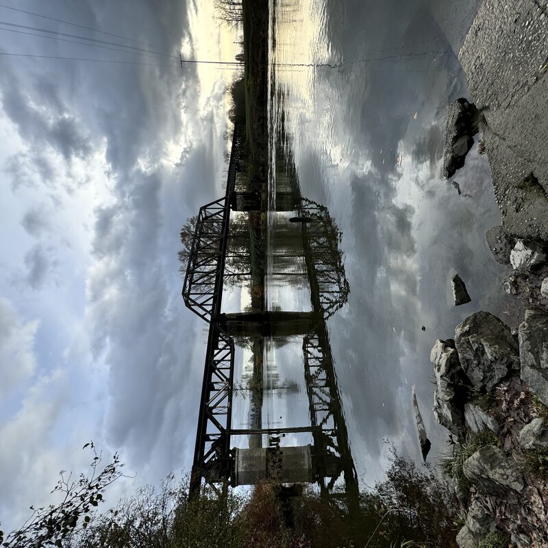 img_6649.jpeg