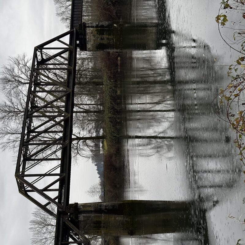 img_6816.jpeg