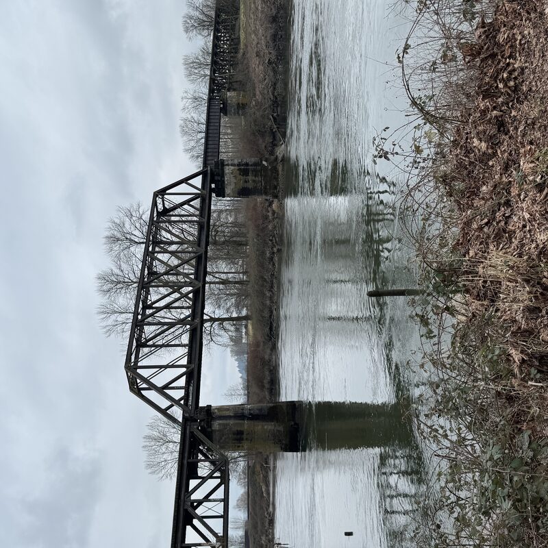 img_8004.jpeg