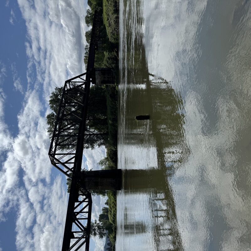 img_8782.jpeg