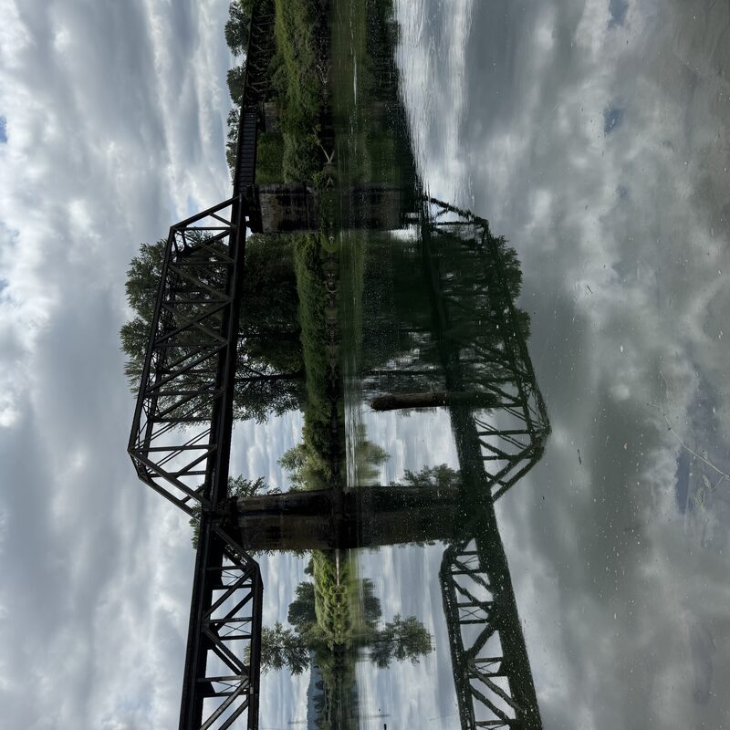 img_8873.jpeg