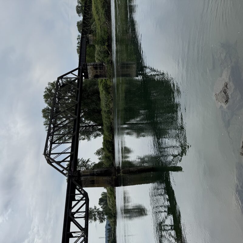 img_8915.jpeg