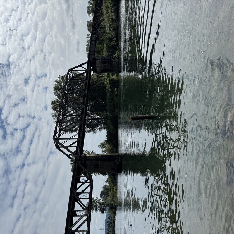 img_9019.jpeg